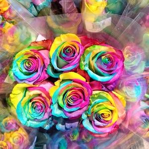 Meet your Posher, Alicia